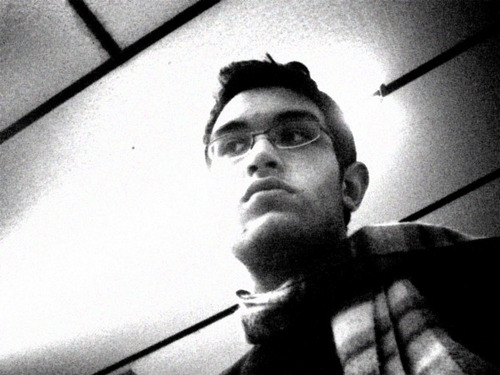 Picture