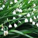 Susan Gendron - @PeaceInsideAll - Twitter