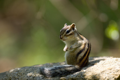 t_cecary's profile picture. いらっしゃいませー(.ﾟ∀ﾟ)そこそこ幸せな人生を送っております(´･∀･｀)