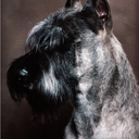 BoB Denham - @bobcathill - Twitter