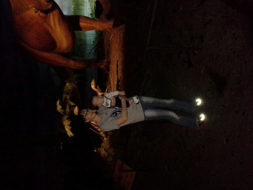 jenniferbjodstr's profile picture. 