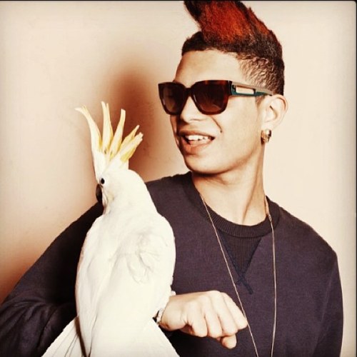 Ronnie flex fans!! (Ronnieflexfanz) Twitter