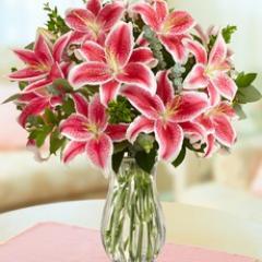 1800FlowersJobs's profile picture. Love delivering smiles? Learn about new positions, culture and advances in our Corporate and Retail environments!
Careers@1800flowers.com #18f