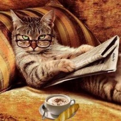 Humour Noir Humournoir Twitter