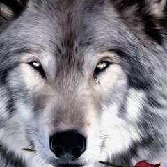 ROMHUK's profile picture. всегда вперёд!