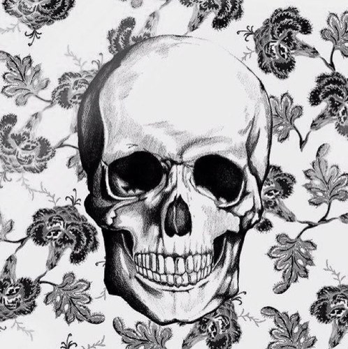 equalastheycome's profile picture. Love everybody, everybody is beautiful