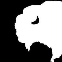 Glass Buffalo(@GlassBuffalo) 's Twitter Profile Photo