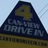 canviewdrivein's profile image