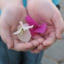 Jackie Lara - @carola_jackie - Twitter