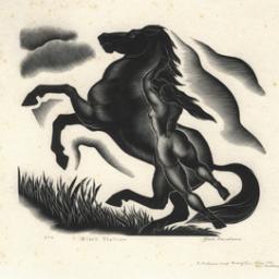 hdl12345's profile picture. I white and i and 53 years old  i live in sheridan lake co.