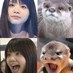 はやひろ (@rinhiroo) Twitter profile photo