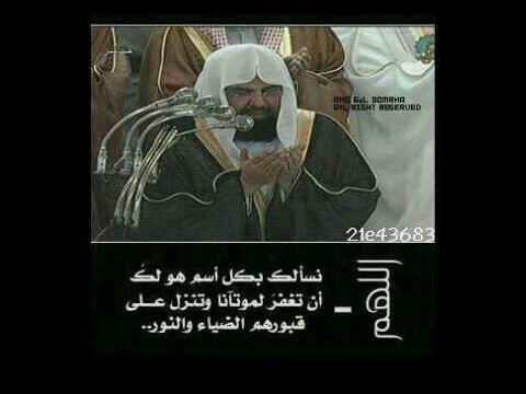 لأنني أحببتك جعلت هذا الحساب صدقة جارية لك،لأن الطرق المؤدية لك انسدت لكن طرق الخير لم تنسد،لأن الحب دعاء فأن كل مالامس جبيني الارض دعيت الله أن يجمعنا في جنته♡
