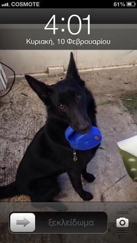 SakisdimosKozas's profile picture. 