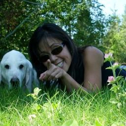 charlemagne96's profile picture. 