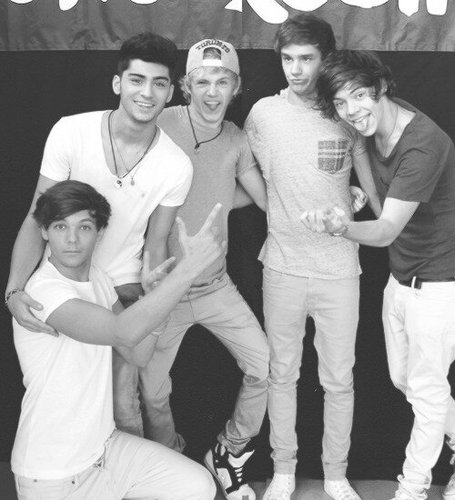 Here for support @Louis_Tomlinson @Harry_Styles @Real_Liam_Payne @NiallOfficial @zaynmalik,I love them! I follow back! @LittleMixOffic LWWY @District3music