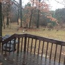 Sue Tyner - @SueTyner - Twitter