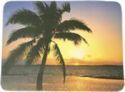 Indian Rocks Beach Visitor Guide - Hotels, restaurants, attractions, events and local information