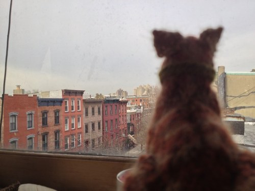 NLKnitting's profile picture. A group of gals who love crafting and are attempting to live back to the basics. Please check out our blog: https://t.co/vEMFqOXDJw