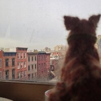 NonLinear Knitting (@nlknitting) 's Twitter Profile