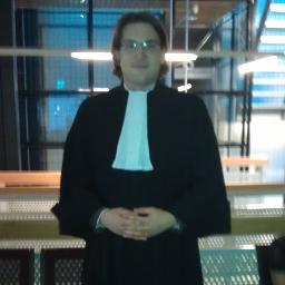Dreamer | LLM |



Tweets in Dutch and English