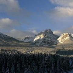 revgrizusc's profile picture. ELCA pastor, Retired