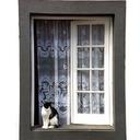 Penelopy Mack - @elise_mackey - Twitter