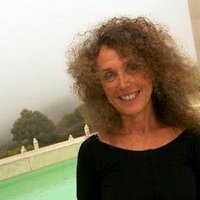 Terri Witek (@terridamm) 's Twitter Profile