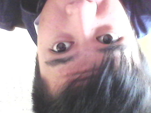 WinnoMino's profile picture. 