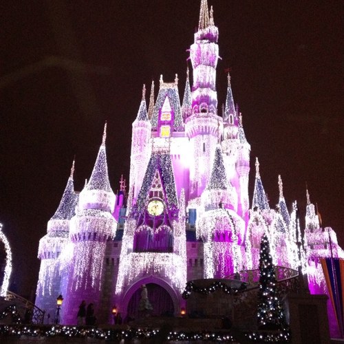 ladybugsnowhite's profile picture. 