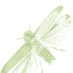 fireflies glow-worms (@glowworminfo) Twitter profile photo fireflies glow-worms (@glowworminfo) Twitter profile photo