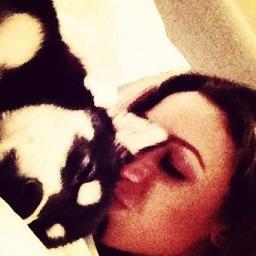 Hi!! i am Loki Payne, Liam's and Danielle's dog. I love they so much! My ask :
@http://ask.fm/LokiPayneOfficial
*woof*