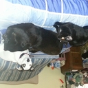 CAROL Kratz - @KratzCk - Twitter