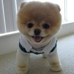 MATTHEW47666541's profile picture. katy cats  katy lovers