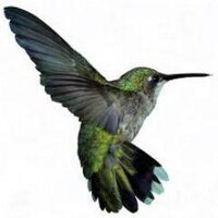 Siusaidh Chaimbeul (@zaganashikwe) 's Twitter Profile Photo Siusaidh Chaimbeul (@zaganashikwe) 's Twitter Profile Photo