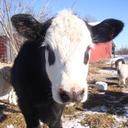 Paul Prue - @PaulPrueMO - Twitter