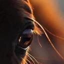 Robert Pereda - @PEREDAGAMARRA - Twitter