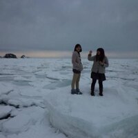 ぱな (@htm62) 's Twitter Profile