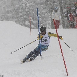 B777Mats's profile picture. B777 / B787 / B737 /A320 / A330 / A340 Captain. Head of State VVIP Captain. Alpine skier. Hobby photographer. Formula 1 fan! Lived in The Middle East,USA,Europe