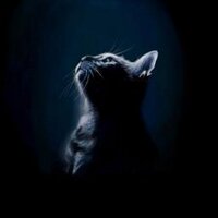 まましぃ☆ (@y7716e) 's Twitter Profile Photo