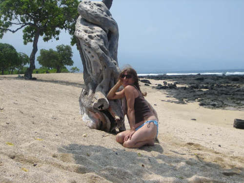 konacoffeemama's profile picture. Coffee farmer, musician, Kona girl in beautiful Hawaii.   Would like new contacts re. Organic Farm and Organic Kona Coffee,  the best!