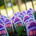 Garden Guild (@gardenguild) Twitter profile photo Garden Guild (@gardenguild) Twitter profile photo