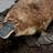 portmantoet's profile image
