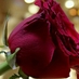 خضراء العساف. (@kk201041) Twitter profile photo خضراء العساف. (@kk201041) Twitter profile photo