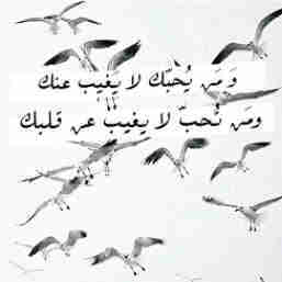 أحدهم كان جميلاً لا اخفي عليه سراً ،، واليوم هو السرّ الذي يُؤلمني وأخفيه ..!