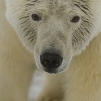 CBD Climate (@cbd_climate) 's Twitter Profile