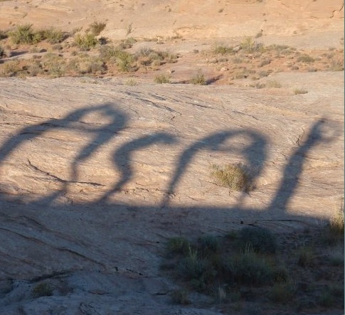 AdamsStateASAP's profile picture. 