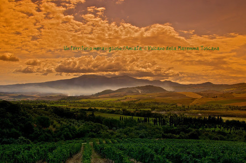 Amiatavini's profile picture. Dentro ad una bottiglia di vino c'è Storia, Cultura e tanta, tanta fatica!!