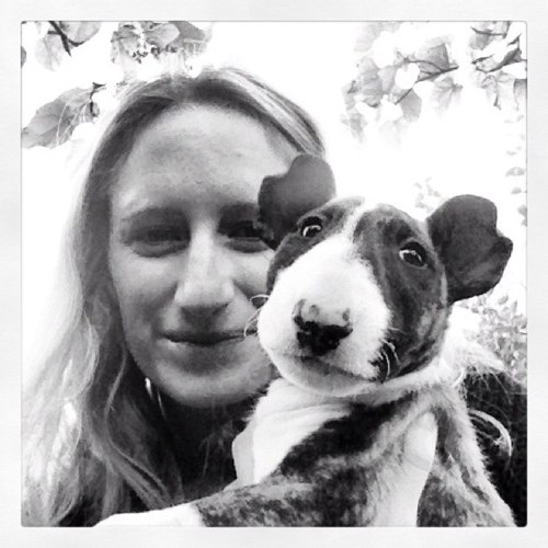 Thoughts on food, digital, mobile, music, bull terriers...