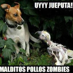 Yeison303Alejo's profile picture. 