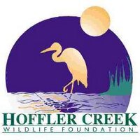 Hoffler Creek (@hofflercreek) 's Twitter Profile
